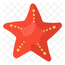 Starfish Sea Animal Sea Creature Icon