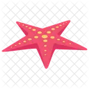 Star Fish  Icon
