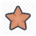 Star Fish Fish Sea Icon