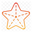 Star Fish Starfish Fish Icon