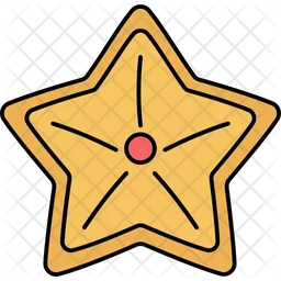 Star Fish  Icon