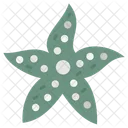 Star fish  Icône