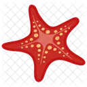 Star Fish Care Star Fish Habitat Star Fish Facts Icon