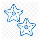 Star fish  Icon