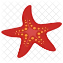 Star fish  Icon