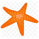 Star Fish Sea Star Brittle Star Icon