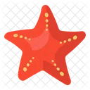 Starfish Sea Animal Sea Creature Icon