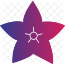 Star Flower Star Shaped Bloom Radiant Petals Icon