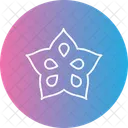 Fruit Healthy Food Icon