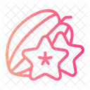 Star Fruit Mango Icon