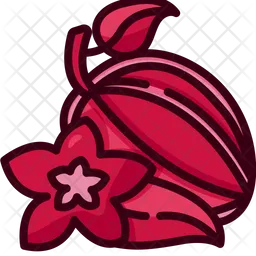 Star Fruit  Icon