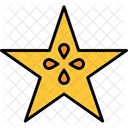 Star Fruit Food Healthy Icon