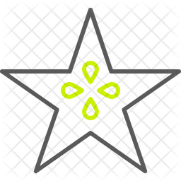 Star fruit  Icon