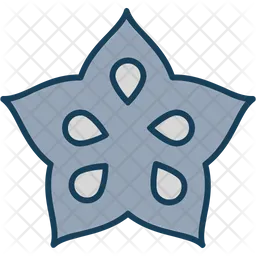 Star fruit  Icon