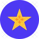 Star Fruit Food Healthy Icon