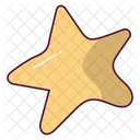 Star  Icon