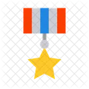 Medal Award Achievement Icon
