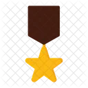 Star medal  Icon