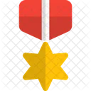 Star Medal Medal Reward Icon