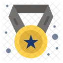Star Medal Star Pendant Medal Icon