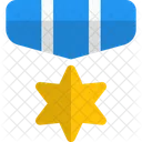 Star Medal Medal Reward Icon