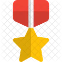 Star Medal Medal Award Icon