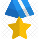 Star Medal Medal Award Icon