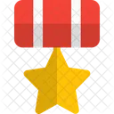 Star Medal Medal Award Icon