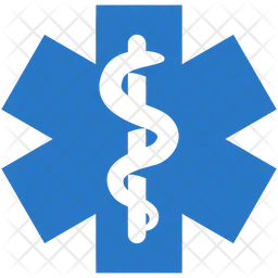 Star of Life  Icon