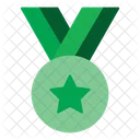Star Pendant  Icon