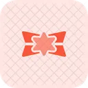 Star Prize Medal Trophy Icon