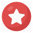 Star Symbol  Icon