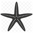Starfish Echinoderm Marine Invertebrate Icon
