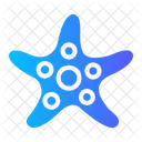 Starfish Animals Sea Icon