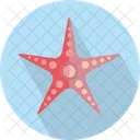 Starfish Asteroidea Brittle Icon
