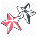 Starfish Sea Animal Icon