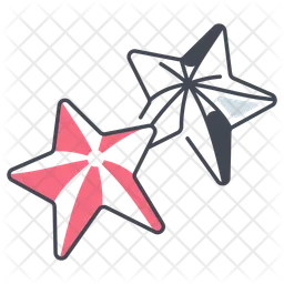 Starfish  Icon