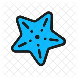 Starfish  Icon