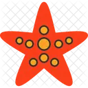 Starfish Seaside Star Oceanic Star Icon