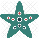 Starfish Seaside Star Oceanic Star Icon