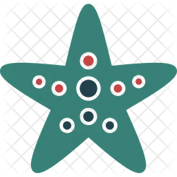 Starfish  Icon