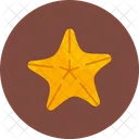 Starfish Star Fish Sea Icon