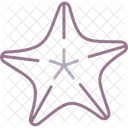 Starfish Star Fish Sea Icon