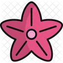 Starfish  Icon