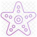 Starfish Sea Animal Icon