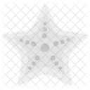 Starfish Sea Creature Sea Star Icon