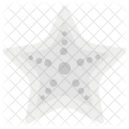 Starfish  Icon