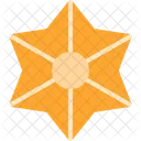 Starfish Marine Sea Icon