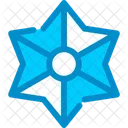 Starfish Marine Sea Icon