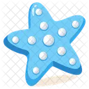 Starfish  Icon